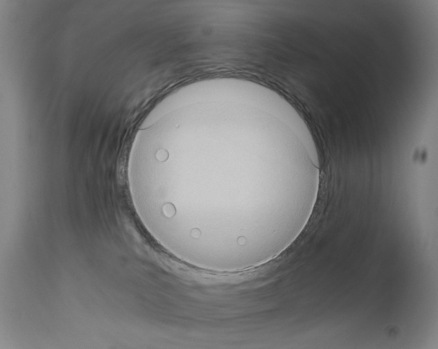 X0000110890039200907301553