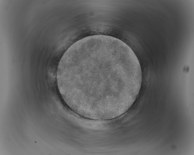 X0000110890040200907301553