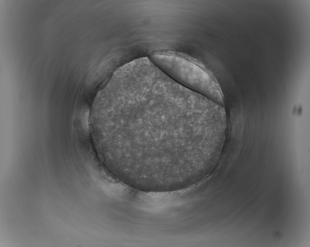X0000110890041200907301553
