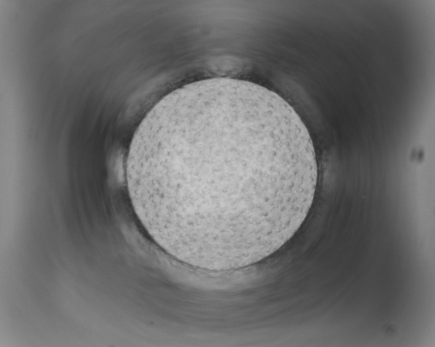 X0000110890042200907301553