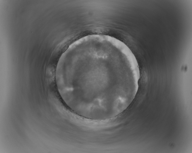 X0000110890043200907301553