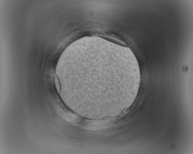 X0000110890045200907301553