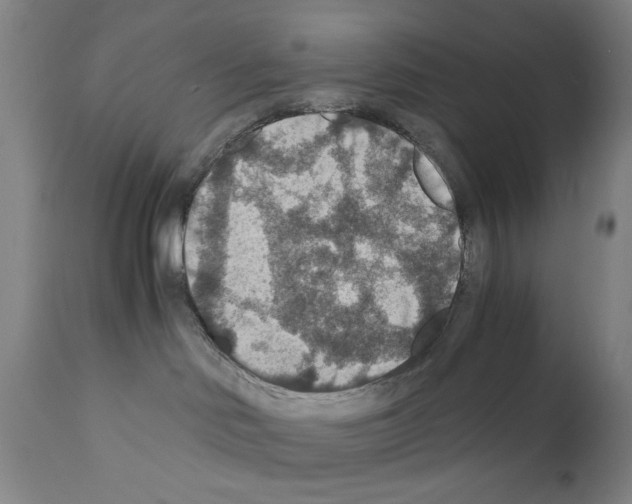 X0000110890046200907301553