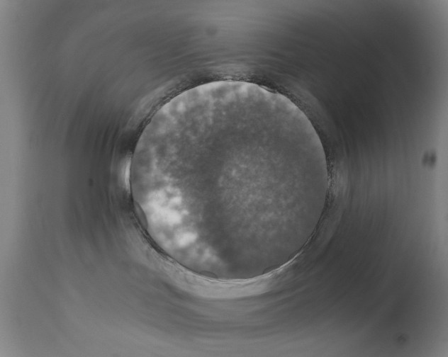 X0000110890047200907301553