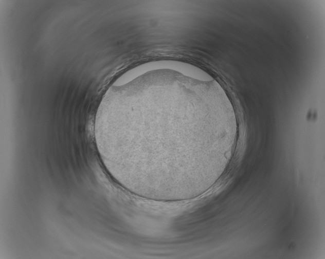 X0000110890048200907301553