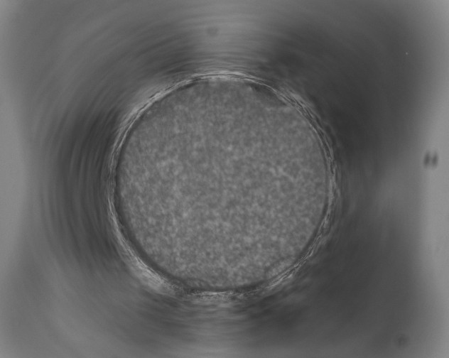 X0000110890049200907301552