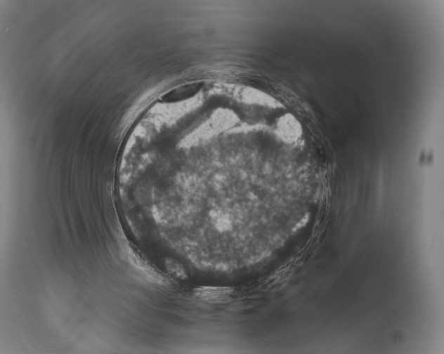 X0000110890051200907301552