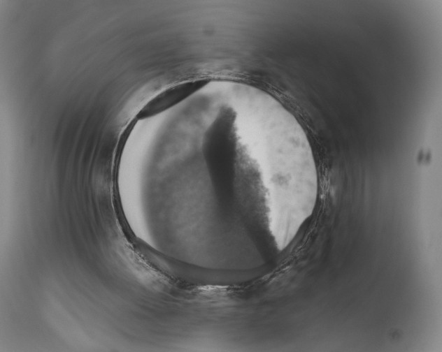 X0000110890052200907301552