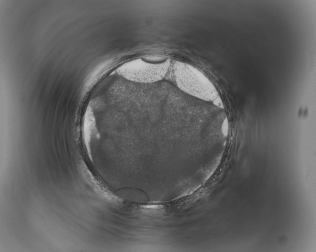 X0000110890053200907301552