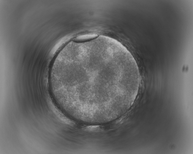 X0000110890054200907301552