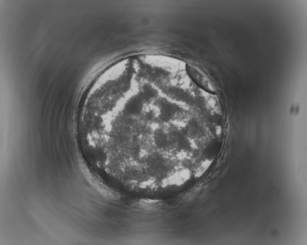 X0000110890055200907301552
