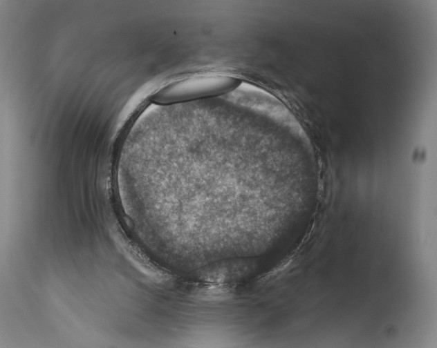 X0000110890056200907301552