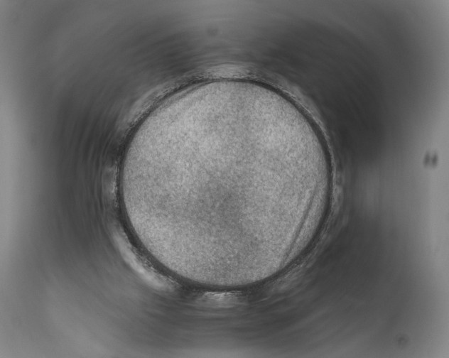 X0000110890057200907301552