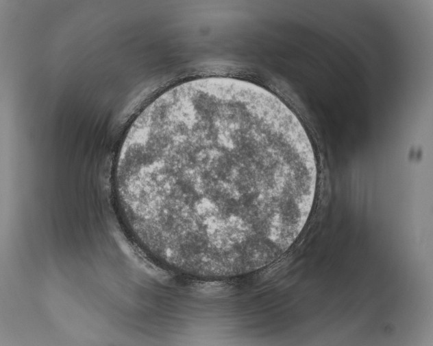 X0000110890058200907301552