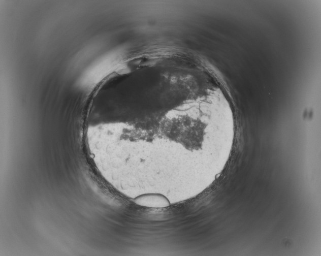 X0000110890059200907301552