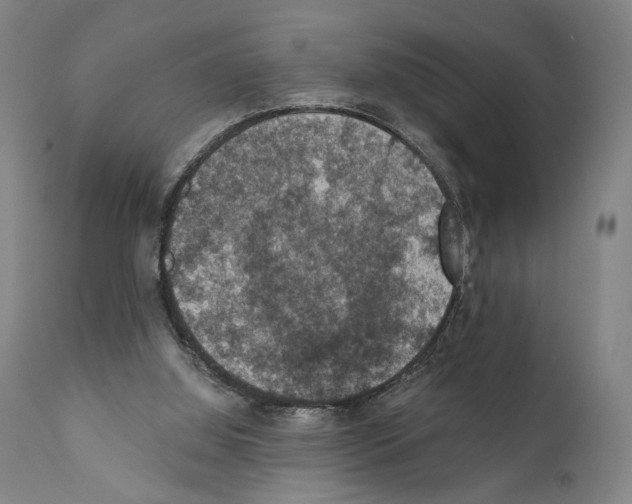 X0000110890060200907301552