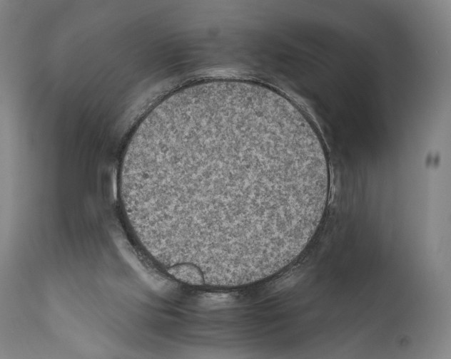 X0000110890061200907301552