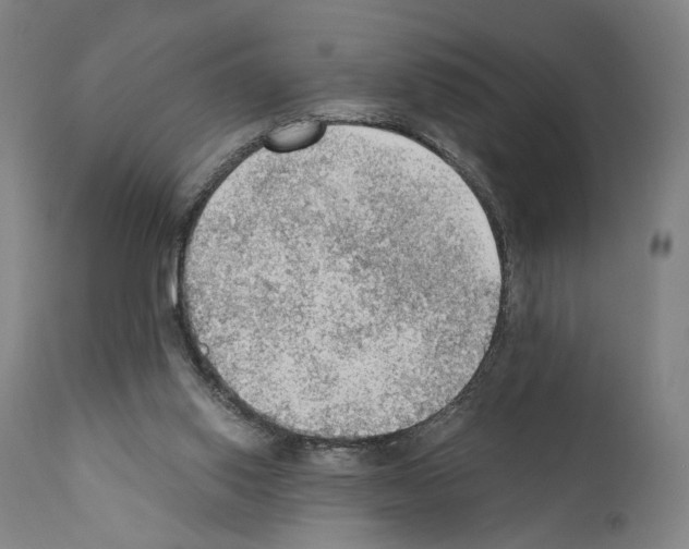 X0000110890062200907301552