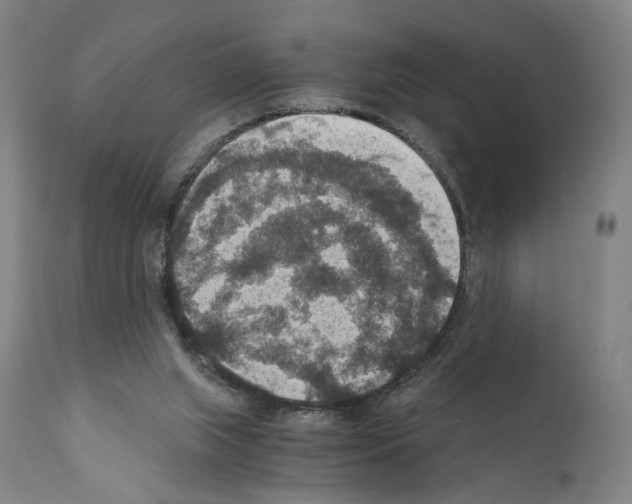 X0000110890063200907301552