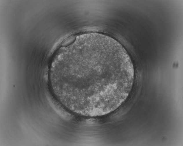 X0000110890064200907301552