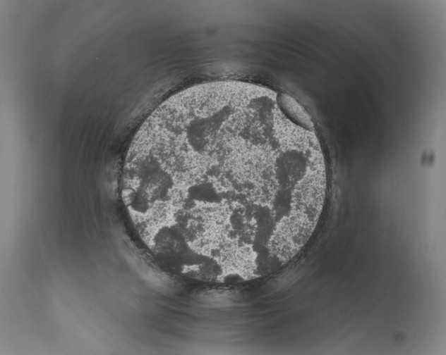 X0000110890065200907301552