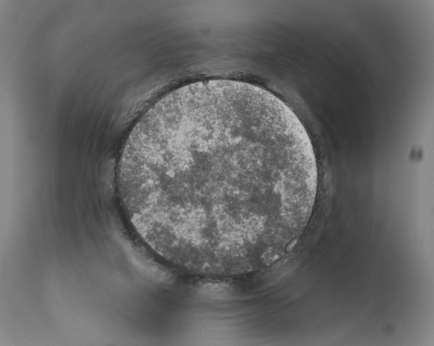 X0000110890066200907301552