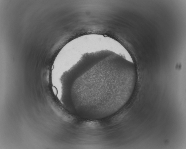 X0000110890067200907301552