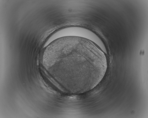 X0000110890068200907301552