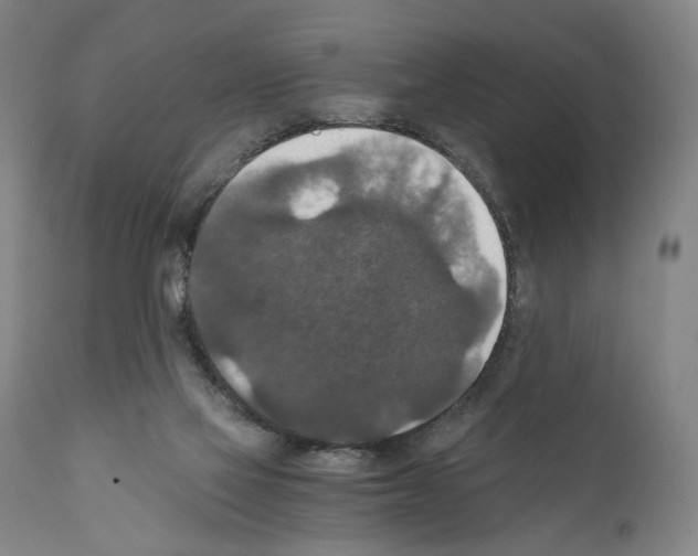 X0000110890069200907301552