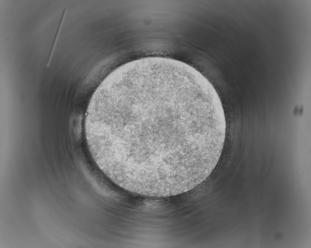 X0000110890070200907301552