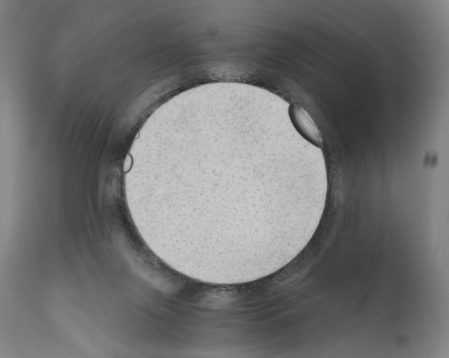 X0000110890071200907301552