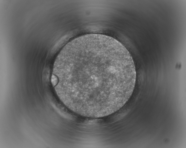 X0000110890072200907301552