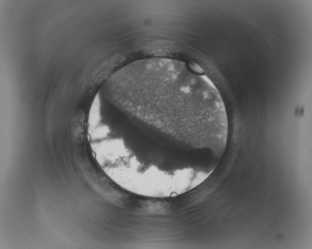 X0000110890073200907301552
