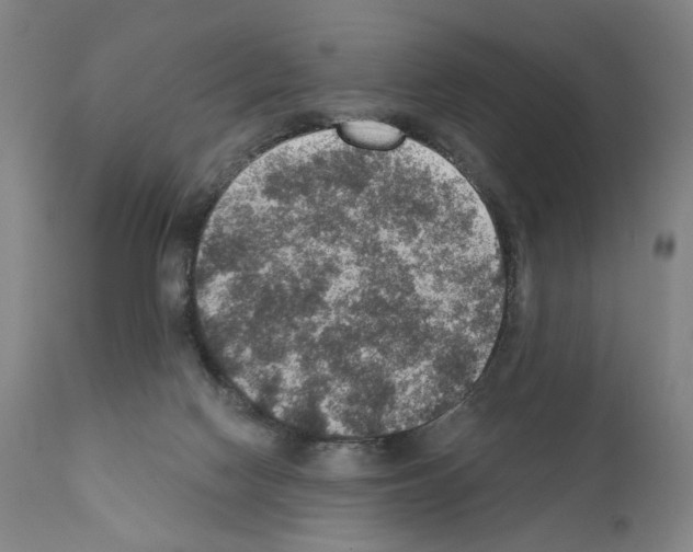 X0000110890074200907301552