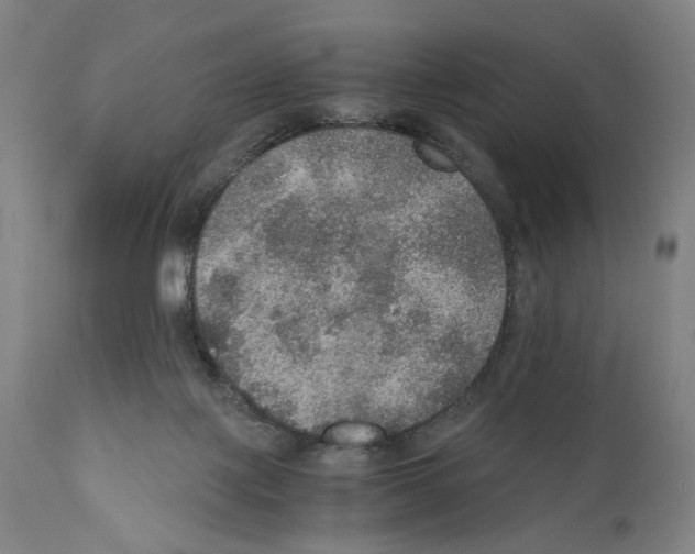 X0000110890075200907301552
