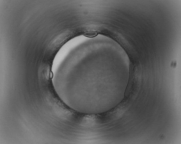 X0000110890076200907301552