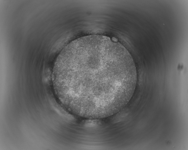 X0000110890077200907301552
