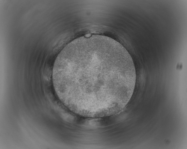 X0000110890078200907301553