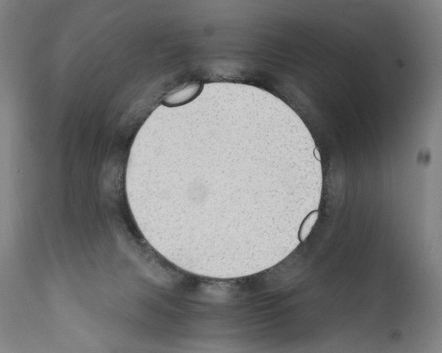 X0000110890079200907301553