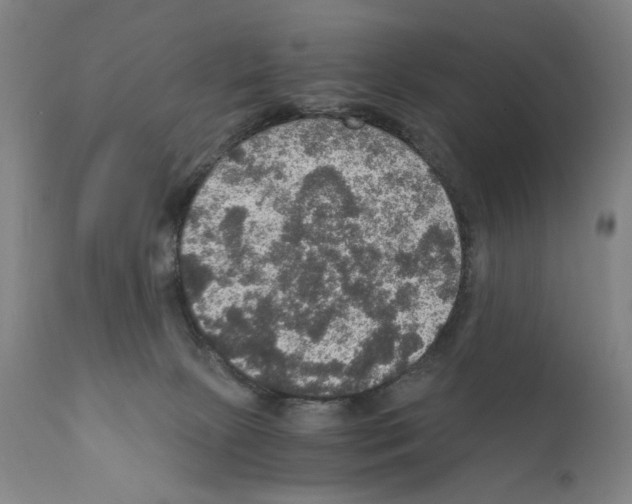 X0000110890081200907301553