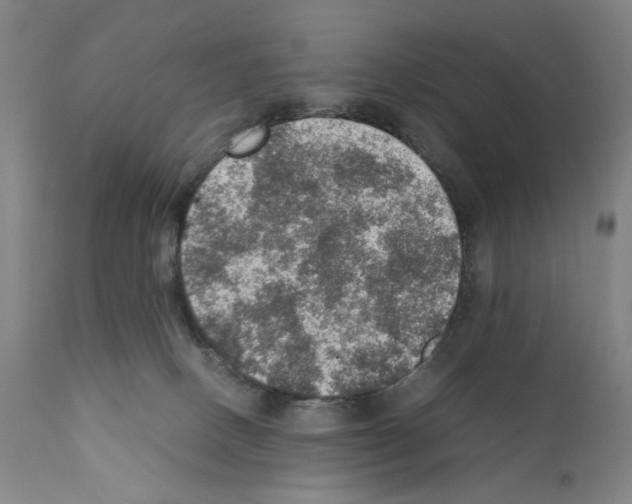X0000110890082200907301553