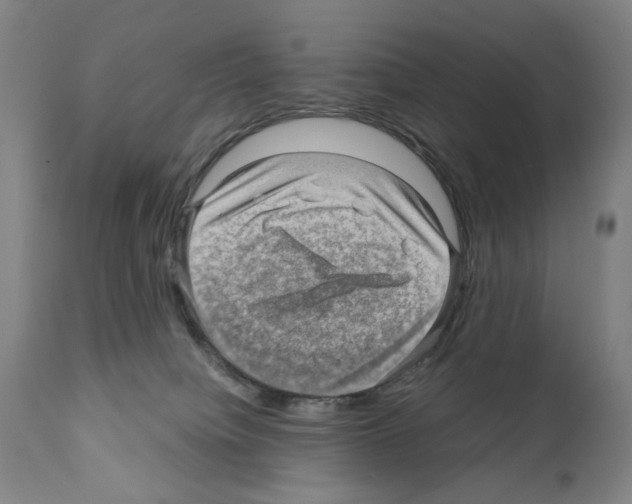 X0000110890084200907301553