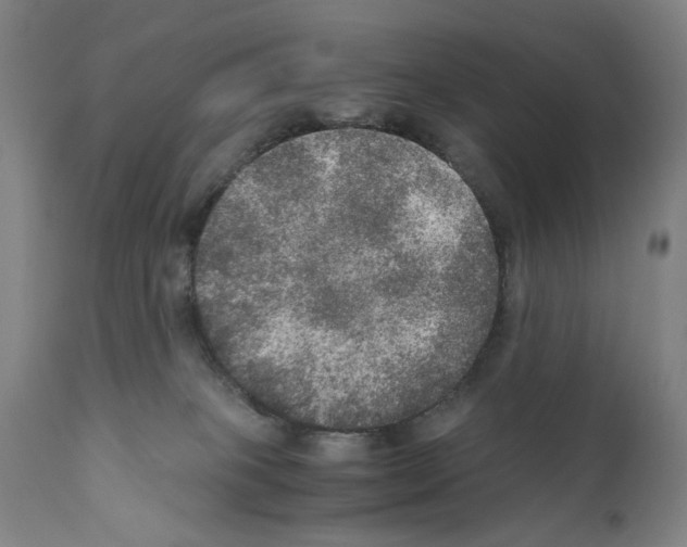 X0000110890085200907301553