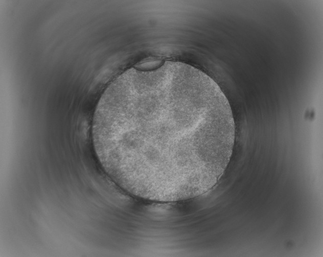 X0000110890086200907301553