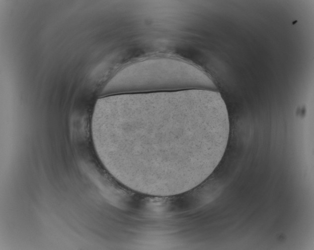 X0000110890088200907301553