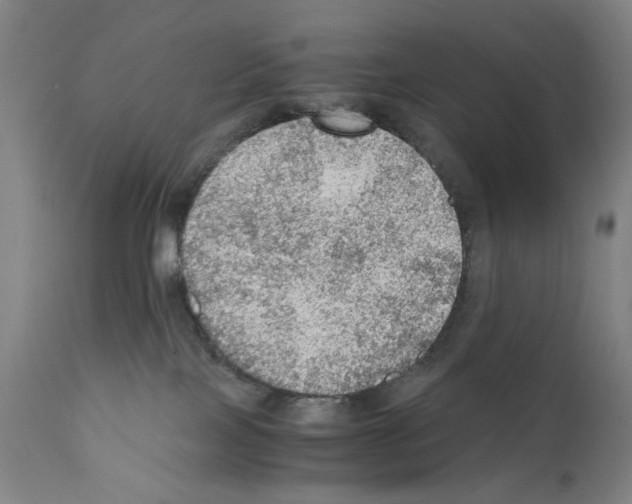 X0000110890089200907301553