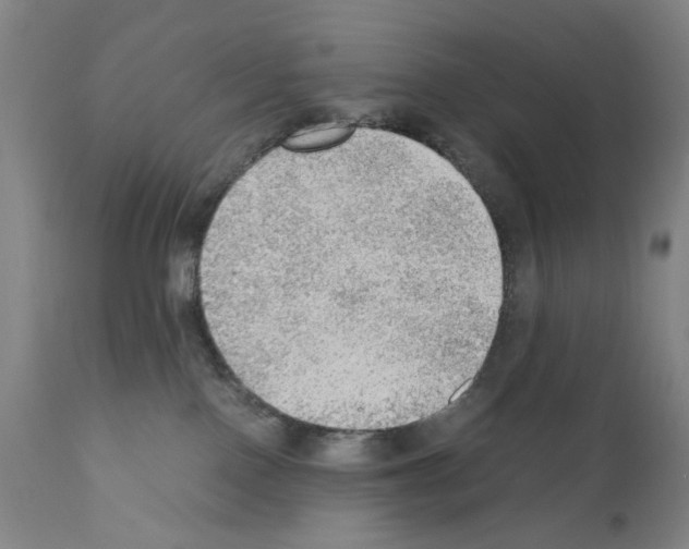 X0000110890090200907301553