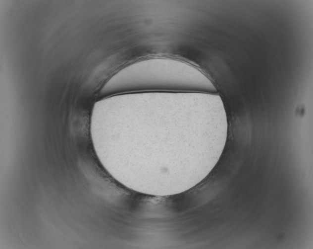 X0000110890092200907301553
