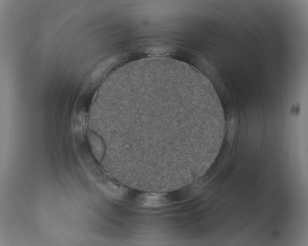 X0000110890093200907301553