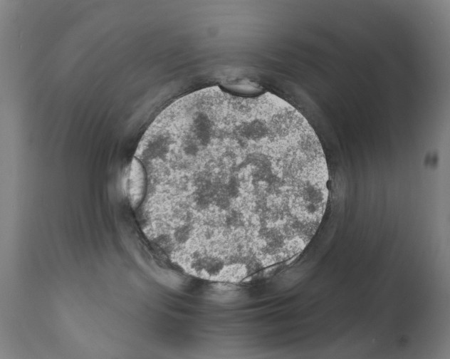 X0000110890095200907301553